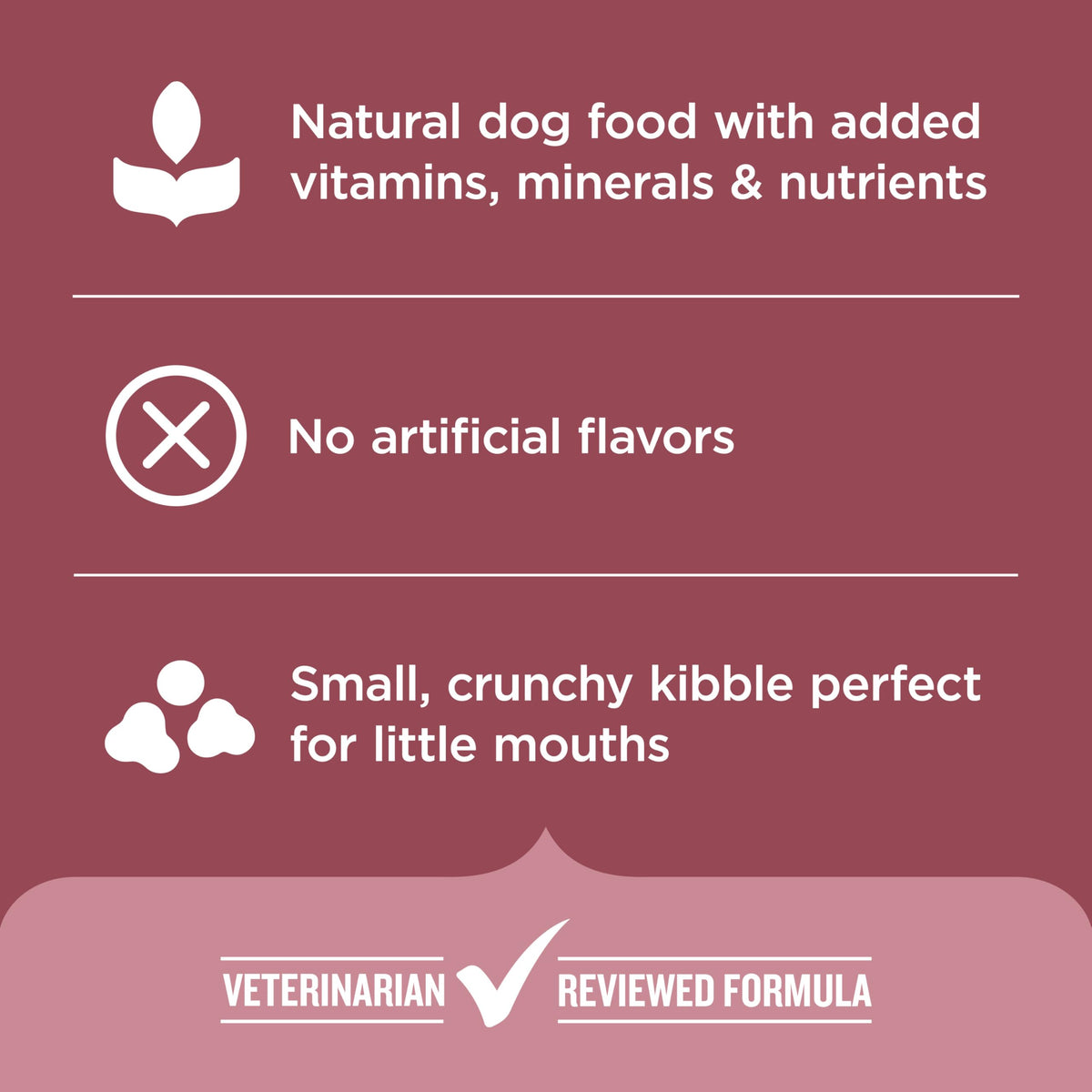 Nutrish Rachael Ray Dry Dog Food Small Breed Real Chicken & Veggies Recipe, 5 lb. Bag (Pack of 2)