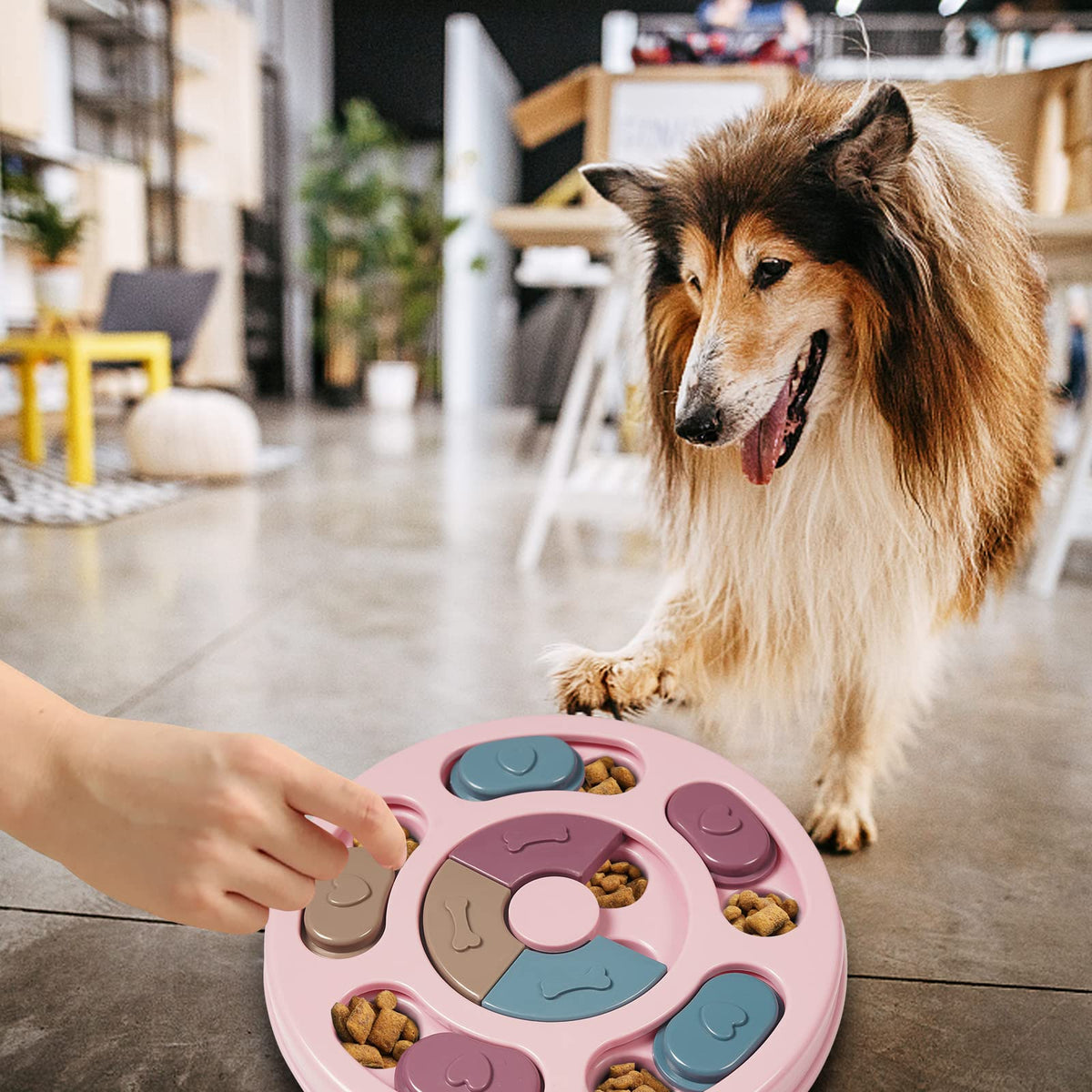 DR CATCH Dog Puzzle,Dogs Food Toys for IQ Training & Mental Enrichment,Dog Treat Puzzle(Blue)